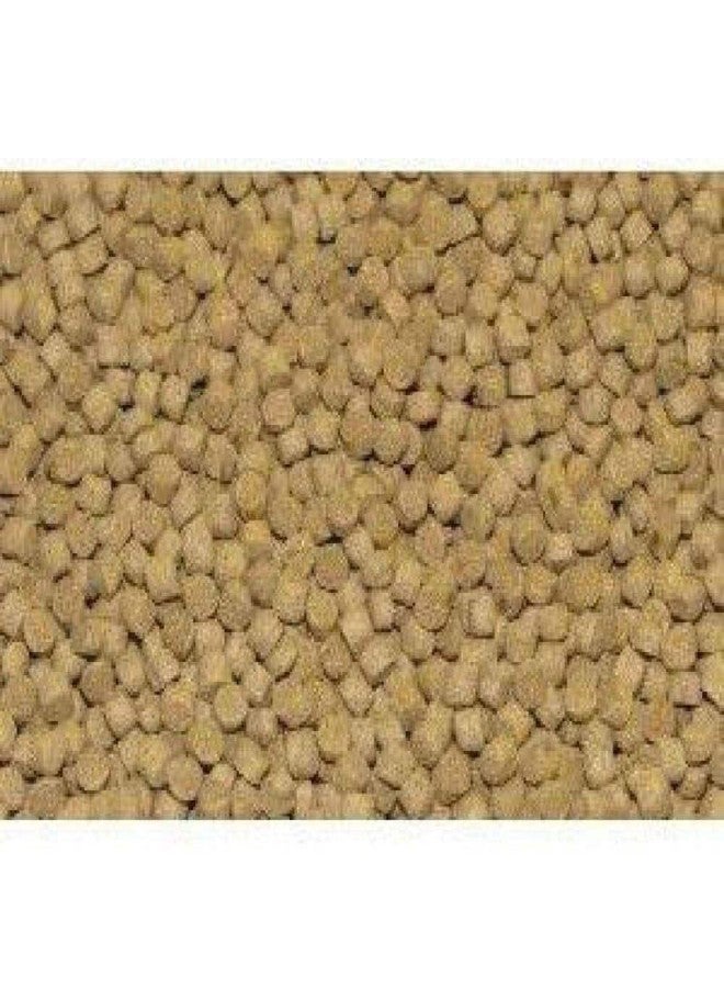 Northfin Cichlid Formula Fish Food - Slow Sinking Pellets for Cichlids (1mm, 1kg) | Premium High-Protein, All-Natural Cichlid Diet to Enhance Color & Growth - No Fillers, No Hormones, Made in Canada - Image 3